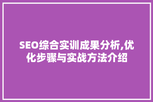 SEO综合实训成果分析,优化步骤与实战方法介绍