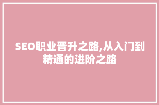 SEO职业晋升之路,从入门到精通的进阶之路
