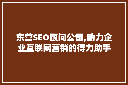 东营SEO顾问公司,助力企业互联网营销的得力助手