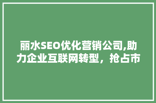 丽水SEO优化营销公司,助力企业互联网转型，抢占市场先机