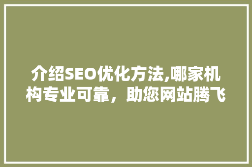 介绍SEO优化方法,哪家机构专业可靠，助您网站腾飞