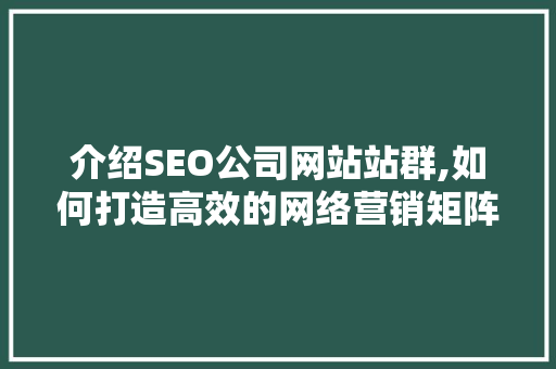 介绍SEO公司网站站群,如何打造高效的网络营销矩阵