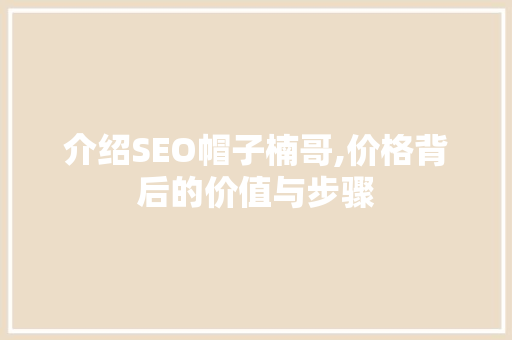 介绍SEO帽子楠哥,价格背后的价值与步骤