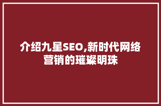 介绍九星SEO,新时代网络营销的璀璨明珠