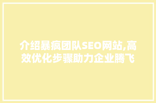 介绍暴疯团队SEO网站,高效优化步骤助力企业腾飞