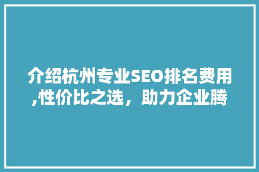 介绍杭州专业SEO排名费用,性价比之选，助力企业腾飞