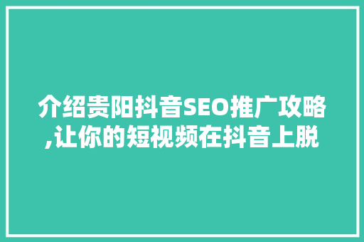 介绍贵阳抖音SEO推广攻略,让你的短视频在抖音上脱颖而出