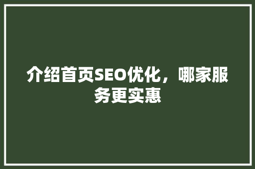 介绍首页SEO优化，哪家服务更实惠