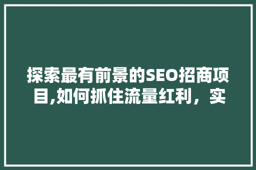 探索最有前景的SEO招商项目,如何抓住流量红利，实现商业腾飞