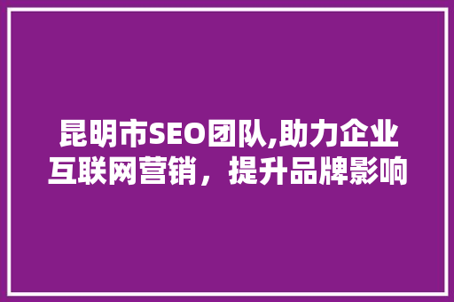 昆明市SEO团队,助力企业互联网营销，提升品牌影响力