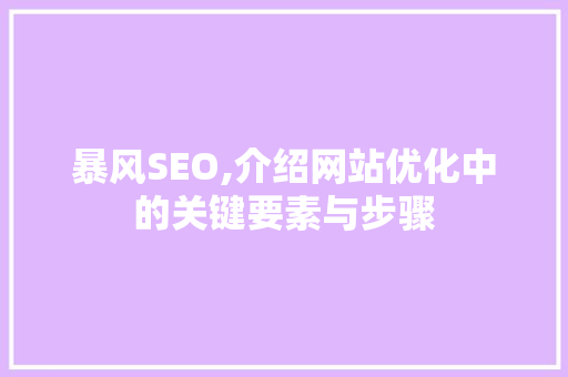 暴风SEO,介绍网站优化中的关键要素与步骤  第1张
