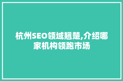 杭州SEO领域翘楚,介绍哪家机构领跑市场