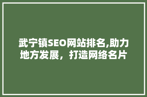 武宁镇SEO网站排名,助力地方发展，打造网络名片