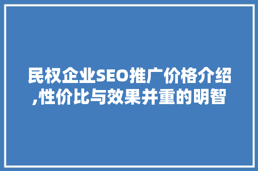 民权企业SEO推广价格介绍,性价比与效果并重的明智选择