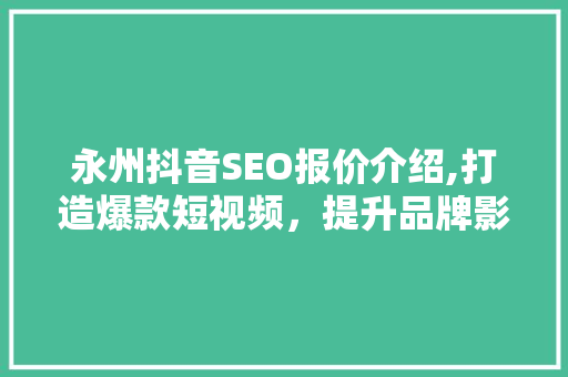 永州抖音SEO报价介绍,打造爆款短视频，提升品牌影响力