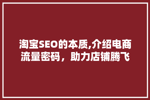 淘宝SEO的本质,介绍电商流量密码，助力店铺腾飞  第1张