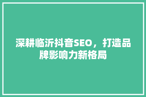 深耕临沂抖音SEO，打造品牌影响力新格局