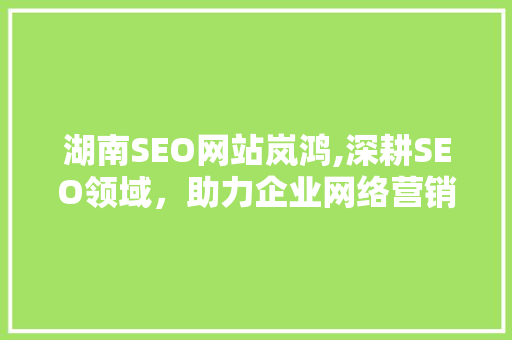 湖南SEO网站岚鸿,深耕SEO领域，助力企业网络营销