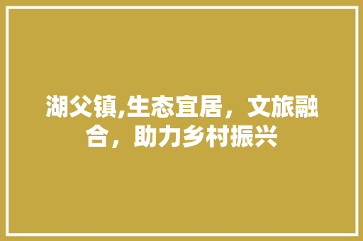 湖父镇,生态宜居，文旅融合，助力乡村振兴