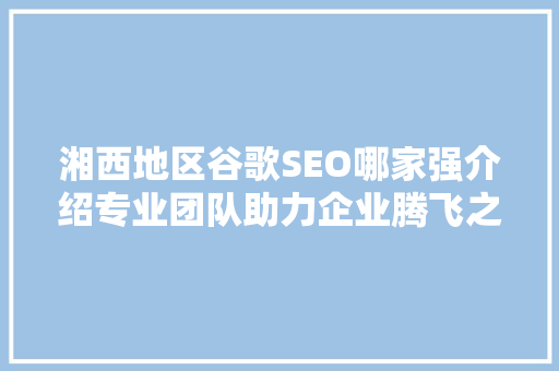 湘西地区谷歌SEO哪家强介绍专业团队助力企业腾飞之路