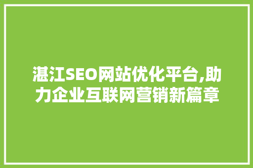 湛江SEO网站优化平台,助力企业互联网营销新篇章