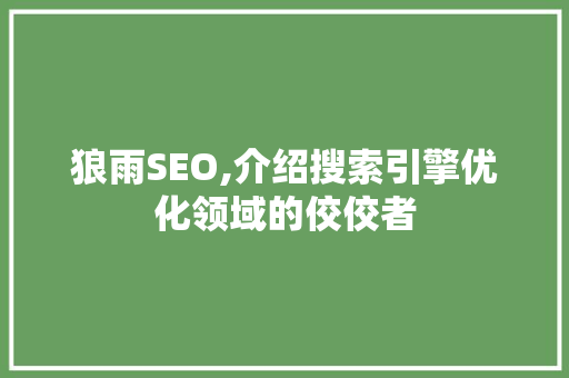 狼雨SEO,介绍搜索引擎优化领域的佼佼者