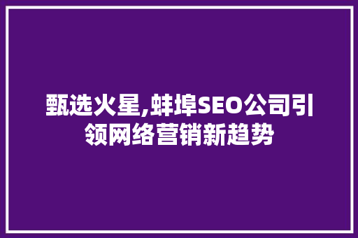 甄选火星,蚌埠SEO公司引领网络营销新趋势