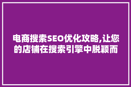 电商搜索SEO优化攻略,让您的店铺在搜索引擎中脱颖而出