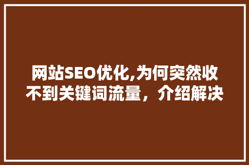 网站SEO优化,为何突然收不到关键词流量，介绍解决之路