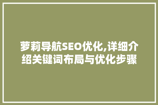 萝莉导航SEO优化,详细介绍关键词布局与优化步骤