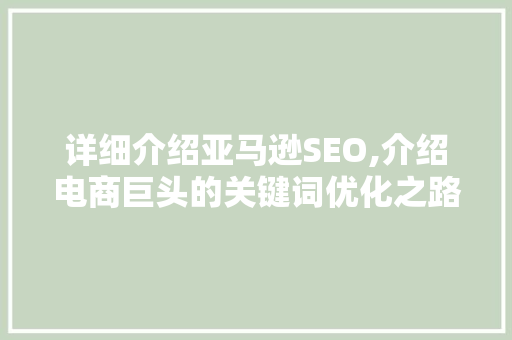 详细介绍亚马逊SEO,介绍电商巨头的关键词优化之路