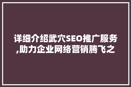 详细介绍武穴SEO推广服务,助力企业网络营销腾飞之路