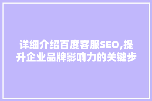 详细介绍百度客服SEO,提升企业品牌影响力的关键步骤