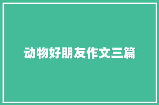 谷歌SEO实操干货,介绍提升网站排名的方法