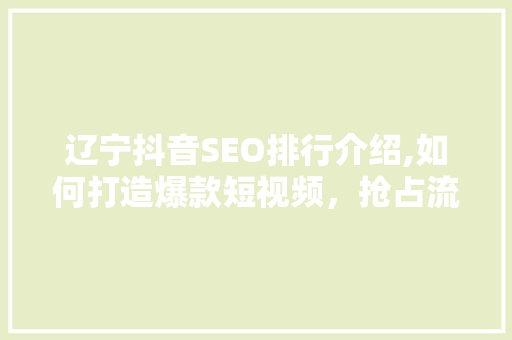 辽宁抖音SEO排行介绍,如何打造爆款短视频，抢占流量高地