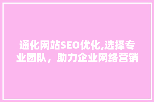 通化网站SEO优化,选择专业团队，助力企业网络营销腾飞