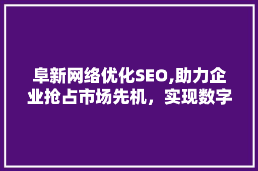 阜新网络优化SEO,助力企业抢占市场先机，实现数字化转型