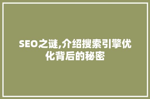 SEO之谜,介绍搜索引擎优化背后的秘密