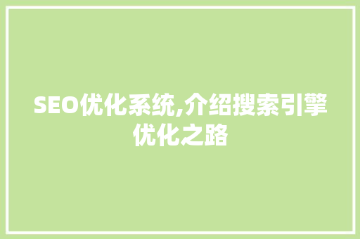 SEO优化系统,介绍搜索引擎优化之路