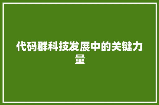 代码群科技发展中的关键力量