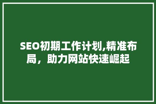 SEO初期工作计划,精准布局，助力网站快速崛起