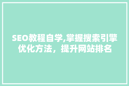 SEO教程自学,掌握搜索引擎优化方法，提升网站排名