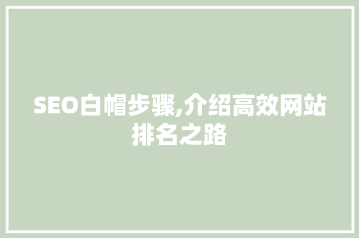 SEO白帽步骤,介绍高效网站排名之路