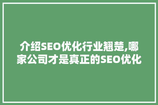 介绍SEO优化行业翘楚,哪家公司才是真正的SEO优化专家