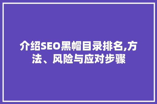 介绍SEO黑帽目录排名,方法、风险与应对步骤
