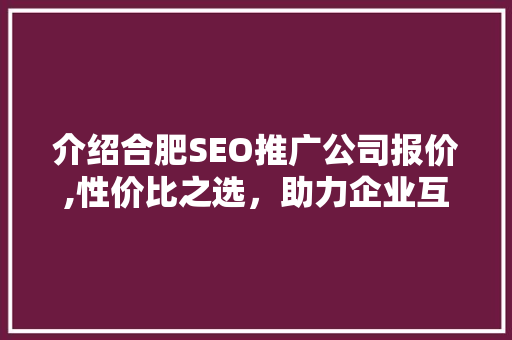 介绍合肥SEO推广公司报价,性价比之选，助力企业互联网营销腾飞