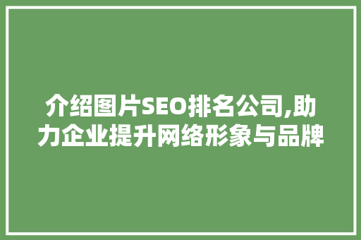 介绍图片SEO排名公司,助力企业提升网络形象与品牌知名度