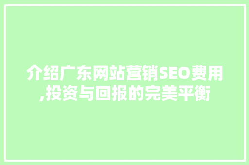 介绍广东网站营销SEO费用,投资与回报的完美平衡