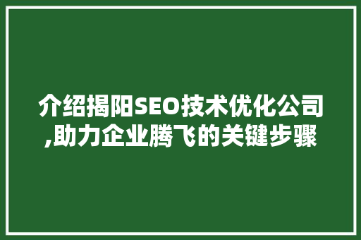 介绍揭阳SEO技术优化公司,助力企业腾飞的关键步骤