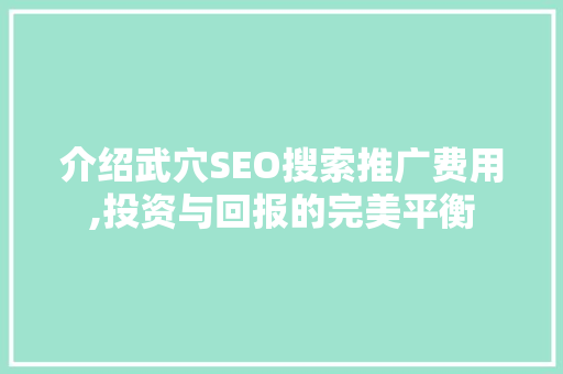 介绍武穴SEO搜索推广费用,投资与回报的完美平衡